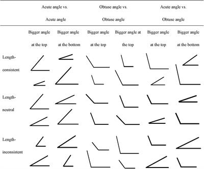 The Use of a Novel Term Helps Preschoolers Learn the Concept of Angle: An Intervention Study With Chinese Preschool Children